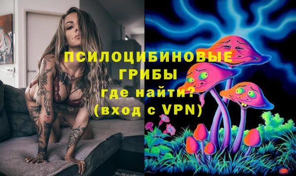 прущая мука Дмитриев