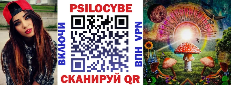 сколько стоит  Анадырь  Псилоцибиновые грибы Psilocybe 